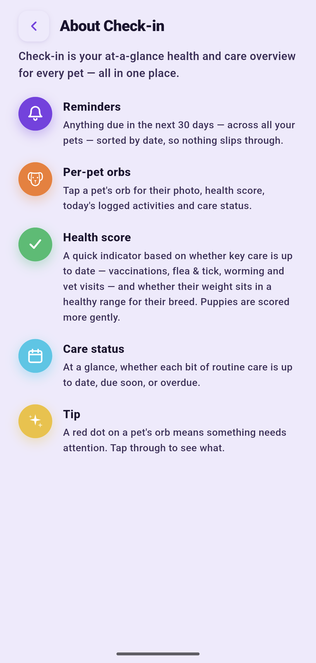 Care tips for your dog